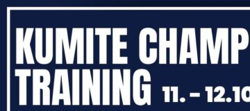 Kumite Champions